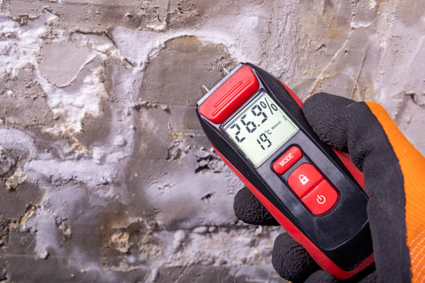 Best Mold Removal Near Me  in Fort Branch, IN