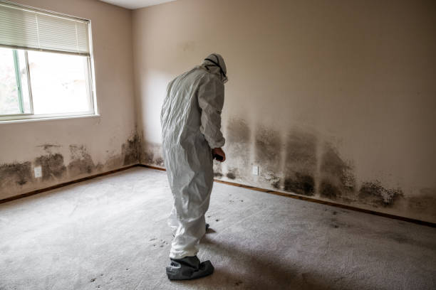 Best Crawl Space Mold Removal  in Fort Branch, IN